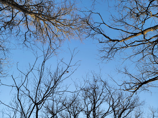 Gift Shop «Dinosaur Valley State Park Store», reviews and photos, 1629 Park Rd 59, Glen Rose, TX 76043, USA
