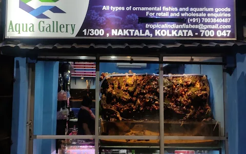 Tropical Indian Fishes || Aquabud Store image