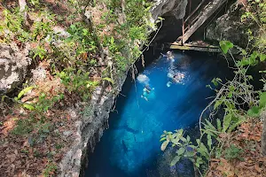 Cenote El Pit image