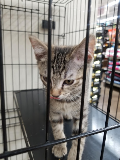 Pet Supply Store «Pet Supplies Plus», reviews and photos, 1676 E Summit St, Crown Point, IN 46307, USA