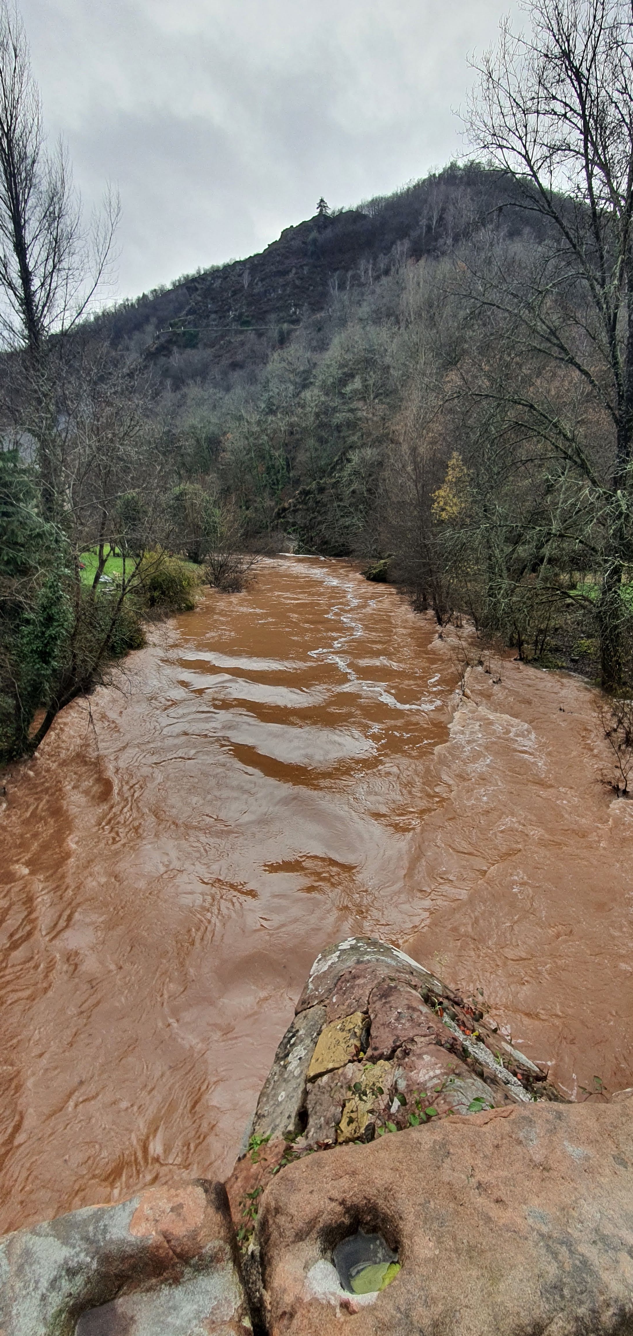 Photo n° 5 de l'avis de Luc. fait le 19/12/2021 à 11:27