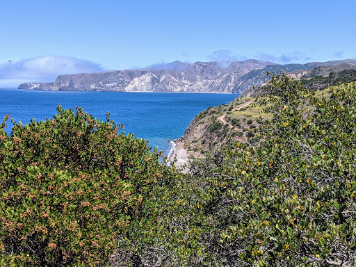 National Park «Channel Islands National Park», reviews and photos