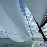 Photo n° 1 de l'avis de Lou.i fait le 12/07/2023 à 19:00 pour Sport Nautique Valericain à Saint-Valery-sur-Somme