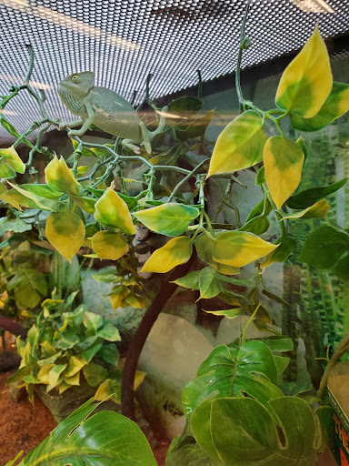 Pet Supply Store «Petco Animal Supplies», reviews and photos, 4698 S Whitnall Ave, St Francis, WI 53235, USA