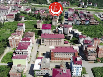 Araklı Anadolu İmam Hatip Lisesi