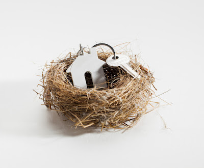 Cozy Nest - Chasseur Immobilier & Architecte d’intérieur à Limonest