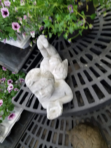 Department Store «Walmart Supercenter», reviews and photos, 1752 N Frontage Rd, Hastings, MN 55033, USA