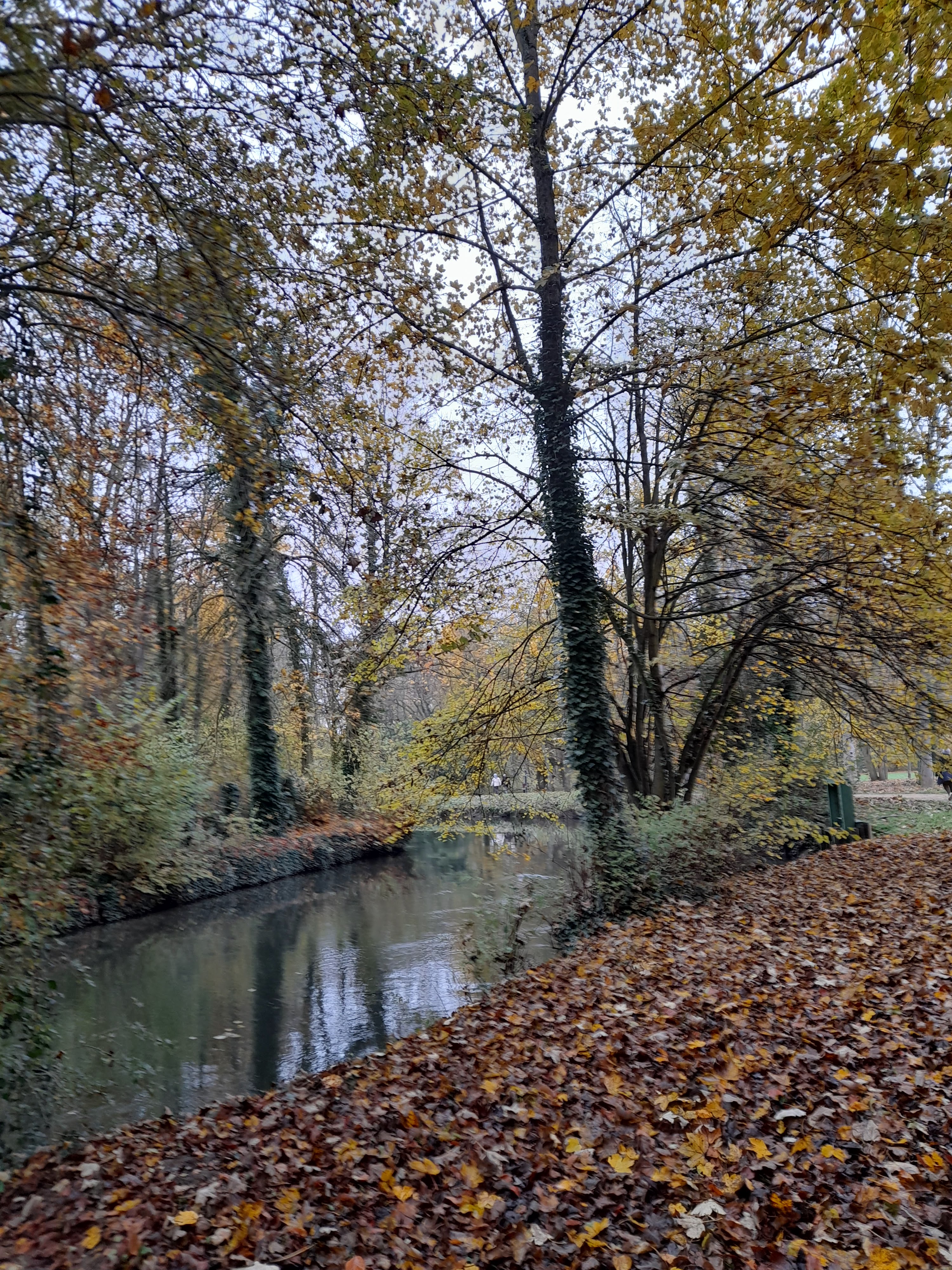 Photo n° 1 de l'avis de Brousse.r fait le 18/11/2021 à 12:05