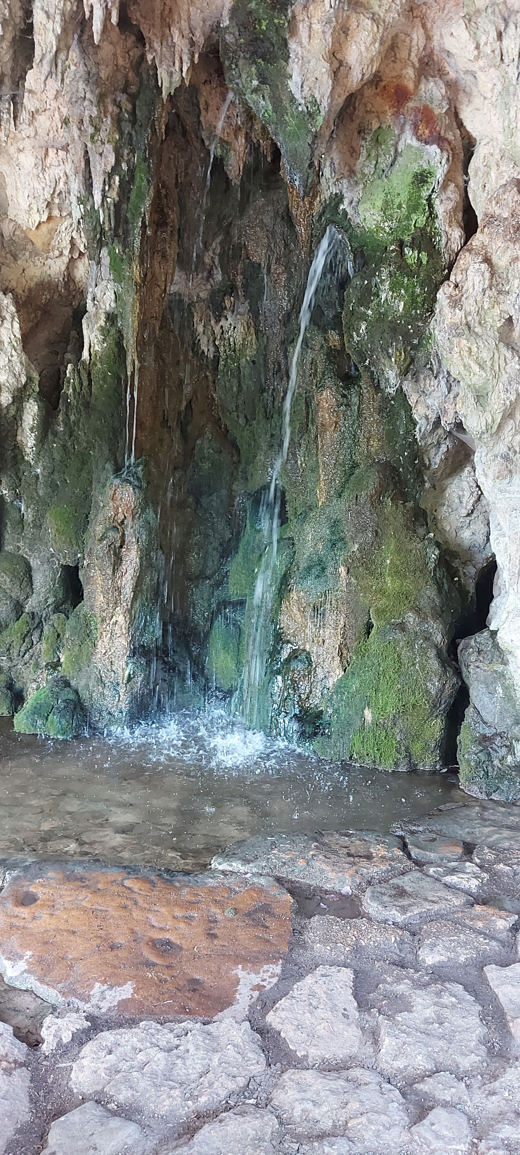 Photo n° 7 de l'avis de gwadilina.l fait le 12/05/2022 à 00:30