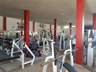 santuary gym - Emilio Carranza 61, Bellavista, 36905 Pénjamo, Gto., Mexico