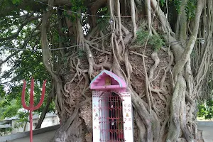 Til Bhandeshwar Shib Mandir, Shivdangi, Malda. image