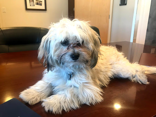 Insurance Agency «Farmers Insurance - Mike Schmisek», reviews and photos