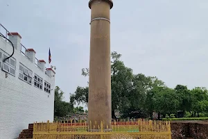 Ashoka Pillar image