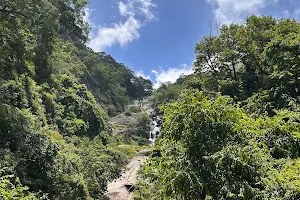 Kovai Kutralam Water Falls image