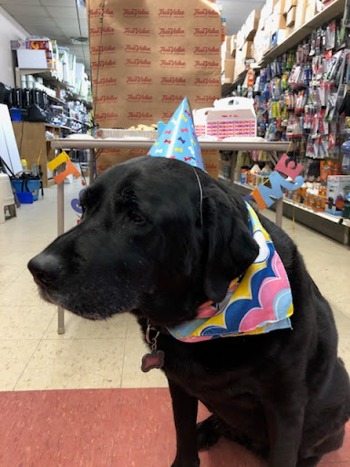 Home Improvement Store «American Hardware Of Lakeside», reviews and photos, 20 Bowling Green Pkwy, Lake Hopatcong, NJ 07849, USA