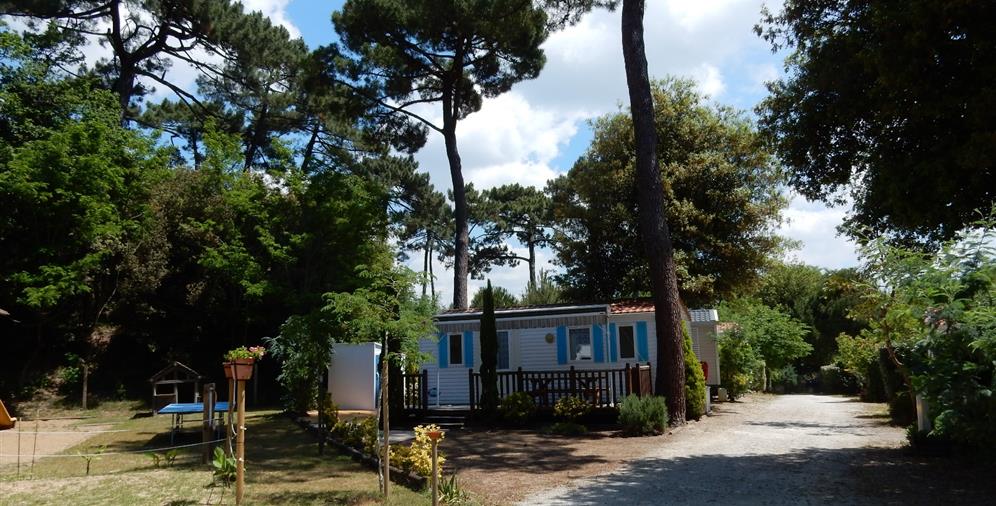 Camping Les Ombrages à Meschers-sur-Gironde
