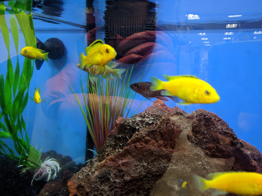 Pet Supply Store «Petco Animal Supplies», reviews and photos, 1591 Sloat Blvd, San Francisco, CA 94132, USA