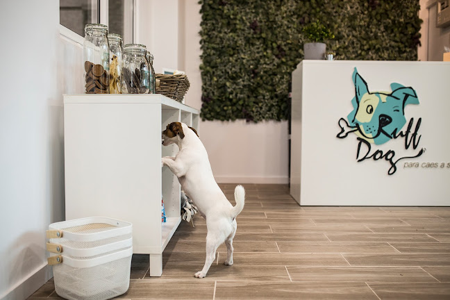 Avaliações doRuff Dog em Oeiras - Veterinário