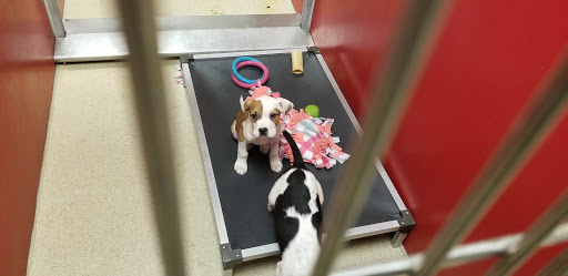 Animal Shelter «Dubuque Regional Humane Society», reviews and photos, 4242 Chavenelle Rd, Dubuque, IA 52002, USA