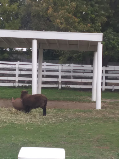 Pet Supply Store «Pet Supplies Plus», reviews and photos, 31029 Harper Ave, St Clair Shores, MI 48082, USA