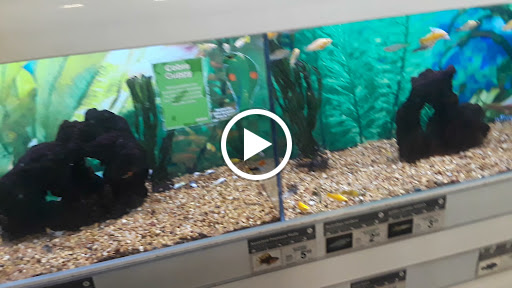 Pet Supply Store «Petco Animal Supplies», reviews and photos, 18200 NW Evergreen Pkwy, Beaverton, OR 97006, USA