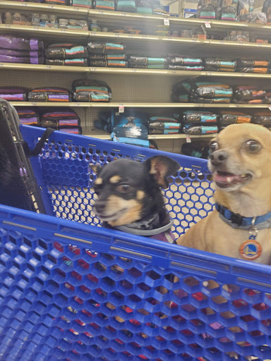 Pet Supply Store «Pet Food Express», reviews and photos, 1430 Fitzgerald Dr, Pinole, CA 94564, USA