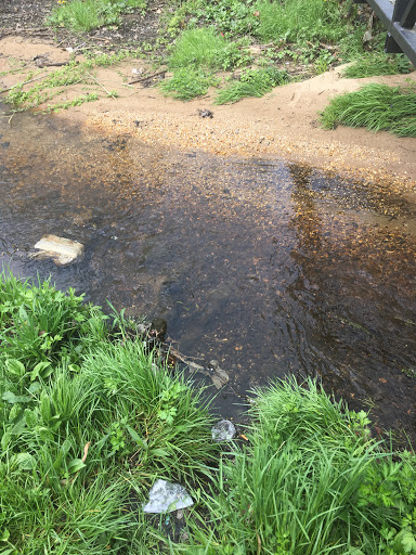 Nature Preserve «Brookside Preserve», reviews and photos, N Brookside Ave, Roosevelt, NY 11575, USA