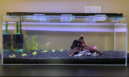 Tropical Fish Store «Aquarium Co-Op», reviews and photos, 9661 Firdale Ave, Edmonds, WA 98020, USA