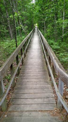 National Park «Voyageurs National Park», reviews and photos