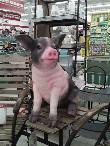 Home Improvement Store «Tractor Supply Co.», reviews and photos, 1939 NY-52 #1, Liberty, NY 12754, USA