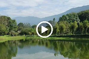 Taiping Lake Gardens image