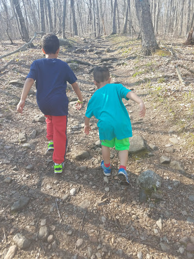 Tourist Attraction «Black Ledge Falls», reviews and photos, Hebron Ave, Glastonbury, CT 06033, USA