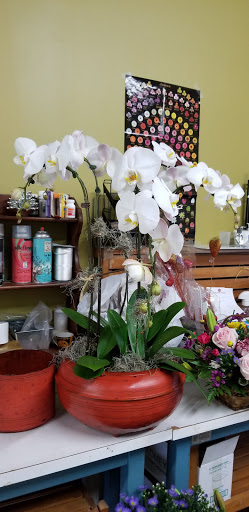 Florist «Chestnut Florist», reviews and photos, 547 Chestnut St, Winnetka, IL 60093, USA