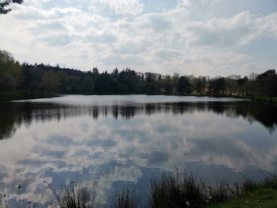 Étang de la Marette à Saint-Malon-sur-Mel