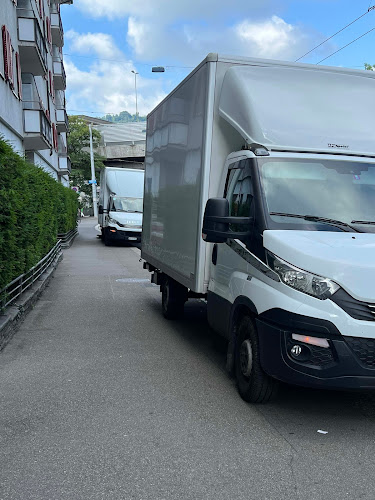 Rezensionen über Hartmann Transporte AG in Bellinzona - Umzugs- und Lagerservice