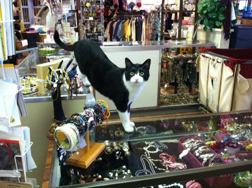 Thrift Store «Thrift Store Benefitting the Cat Adoption Team», reviews and photos
