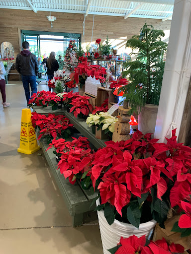 Garden Center «Pike Nurseries», reviews and photos, 615 W Crossville Rd, Roswell, GA 30075, USA