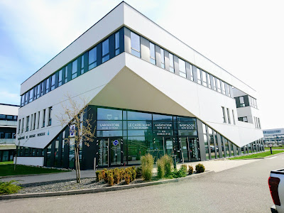Simse à Schiltigheim