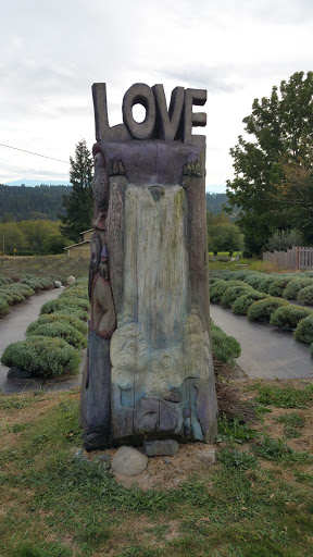 Tourist Attraction «Snoqualmie Falls Lower Observation Deck», reviews and photos, 37451 SE Fish Hatchery Rd, Fall City, WA 98024, USA