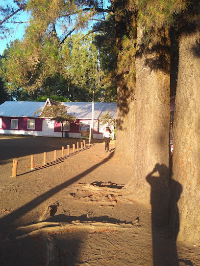 Campamento Bautista Batuquito 8ª región