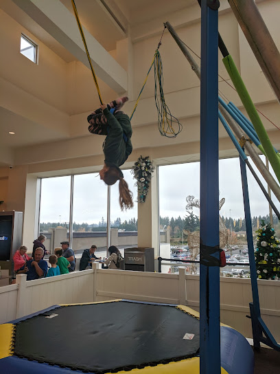 Bungee Trampoline