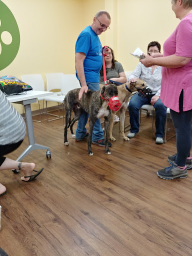 Pet Supply Store «PetPeople», reviews and photos, 3330 Washtenaw Ave, Ann Arbor, MI 48104, USA