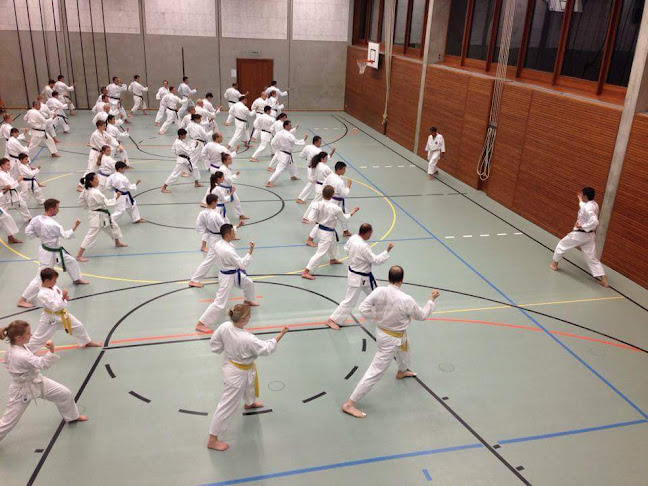 Rezensionen über Shin Gi Tai Karate-Do Aarau in Aarau - Sportstätte