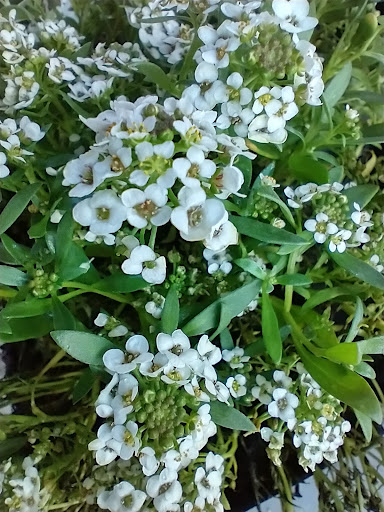 Home Improvement Store «The Home Depot», reviews and photos, 1771 N 19th Ave, Bozeman, MT 59718, USA