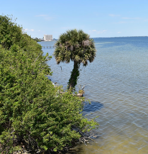 Real Estate Agency «National Realty of Brevard Inc», reviews and photos, 1331 S Harbor City Blvd, Melbourne, FL 32901, USA