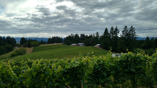 Winery «Kramer Vineyards», reviews and photos, 26830 NW Olson Rd, Gaston, OR 97119, USA