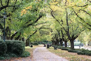 Rosalind Park image