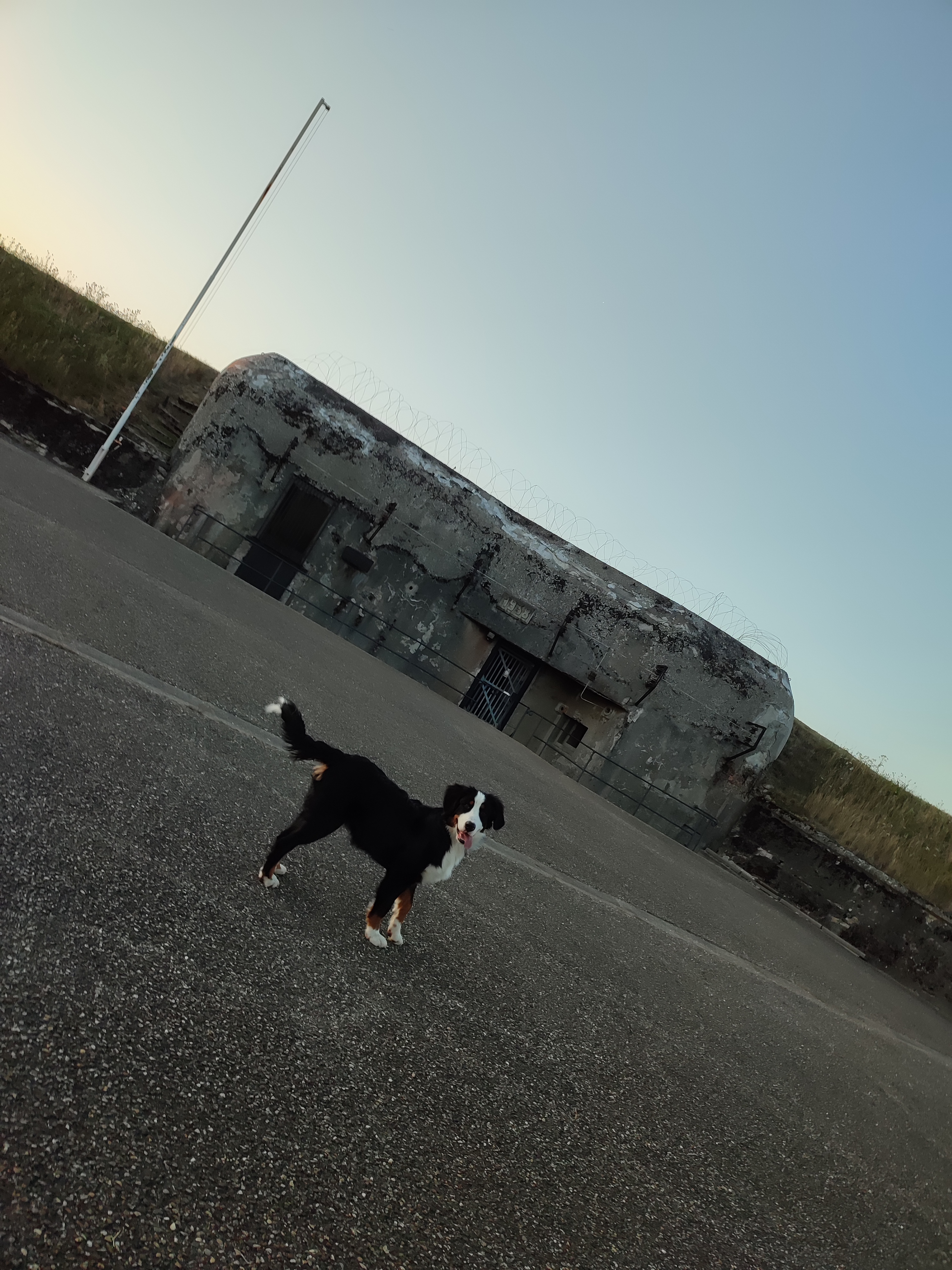 Photo n° 4 de l'avis de Sally.' fait le 26/07/2022 à 11:13