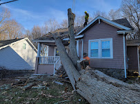 Trout Brook Arborists - Photo 6 - Car repair in West Hartford, CT, Hartford