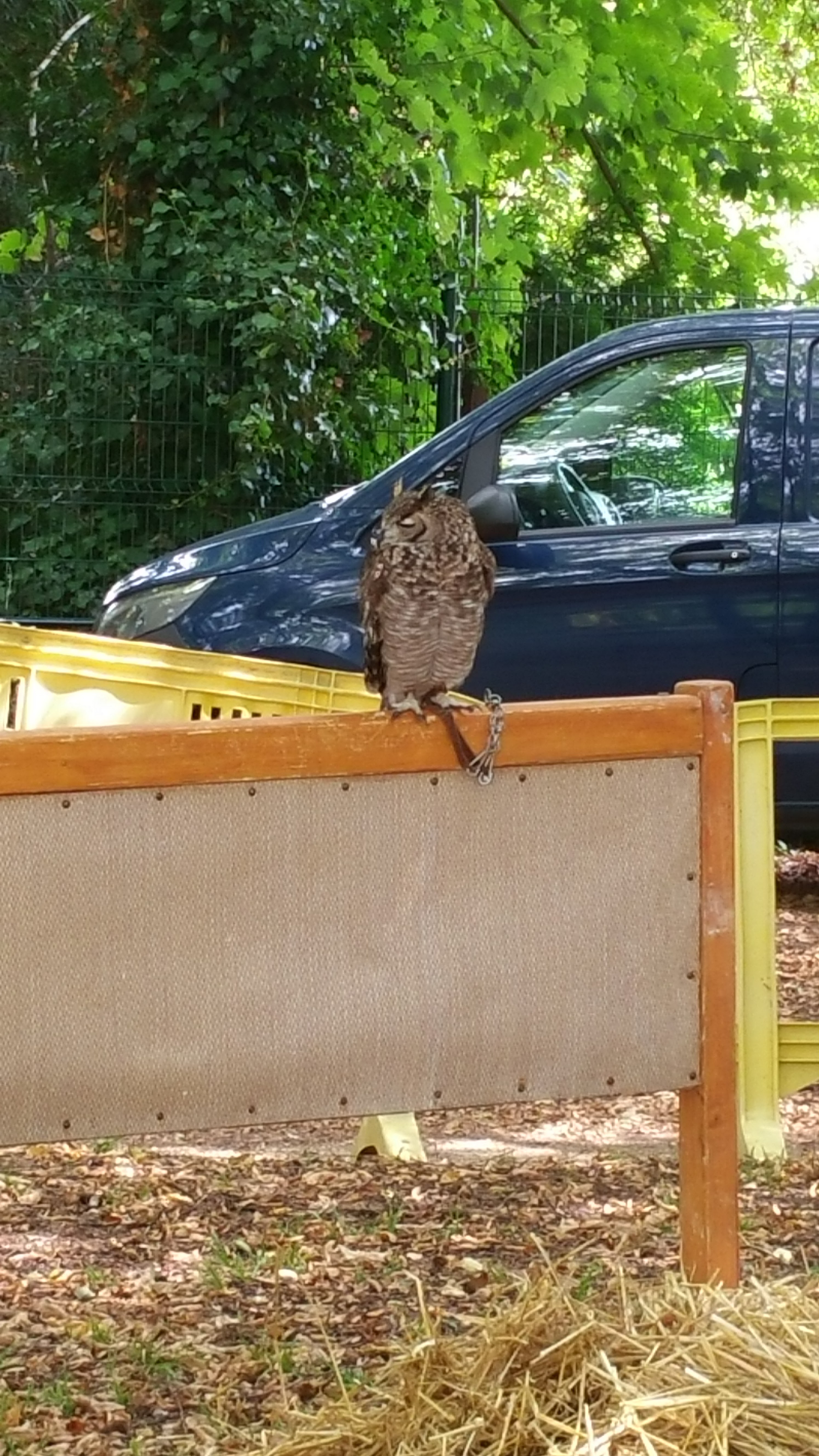 Photo n° 8 de l'avis de Titia.a fait le 25/08/2018 à 21:24